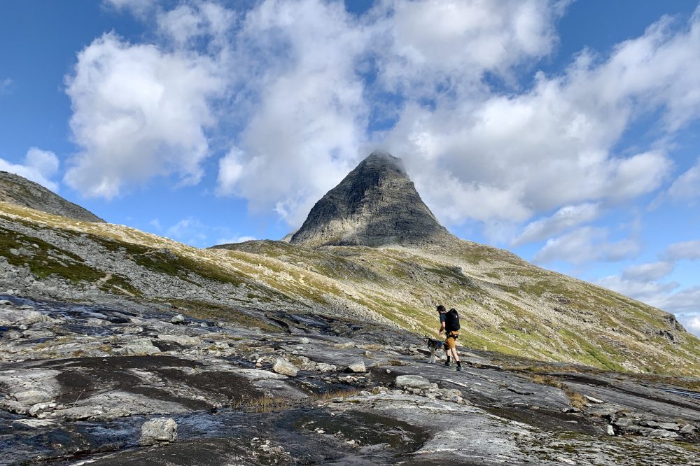Bilete av Bispevatnet Trek