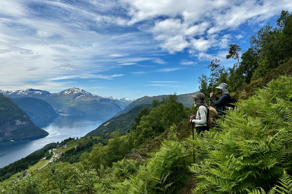 Bilete av Family hike Ruggå & Nysætra