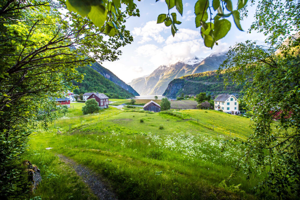 Bilete av Olagarden